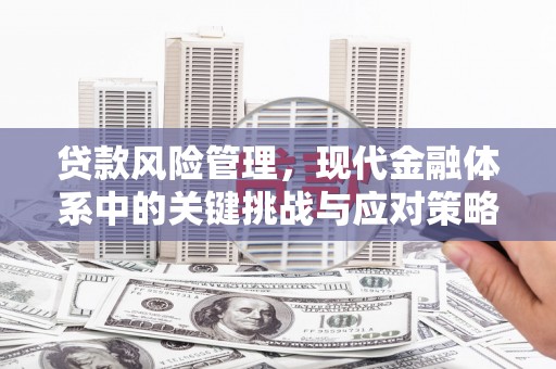 龙湾贷款风险管理，现代金融体系中的关键挑战与应对策略