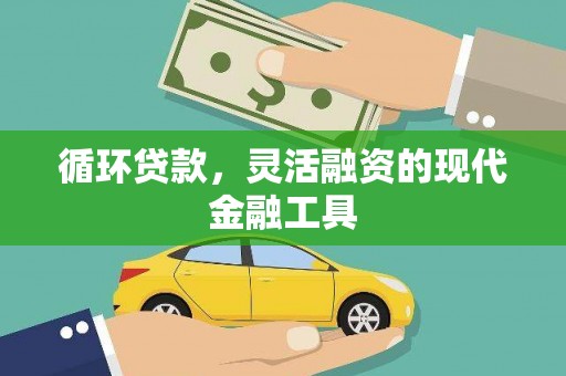 龙湾循环贷款，灵活融资的现代金融工具