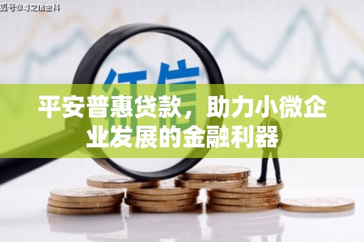 龙湾平安普惠贷款，助力小微企业发展的金融利器