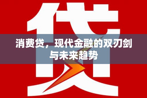 龙湾消费贷，现代金融的双刃剑与未来趋势