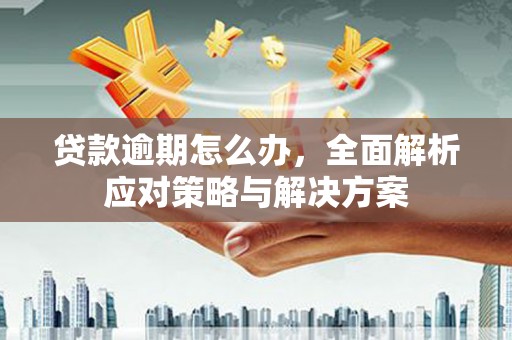 龙湾贷款逾期怎么办，全面解析应对策略与解决方案