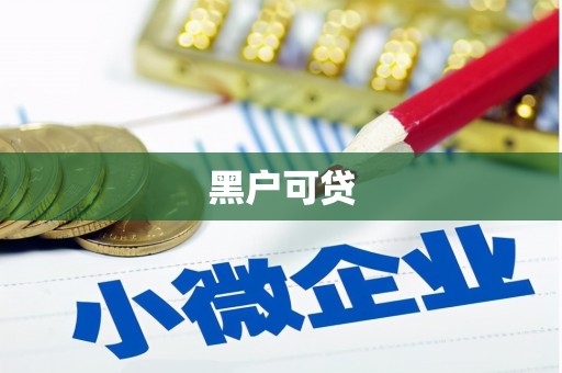 龙湾黑户可贷