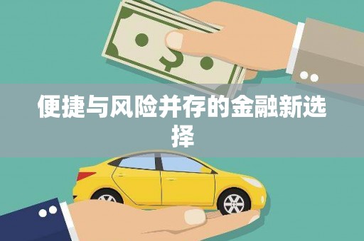 龙湾便捷与风险并存的金融新选择