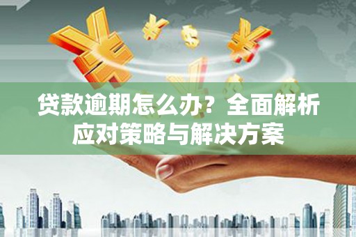 龙湾贷款逾期怎么办？全面解析应对策略与解决方案