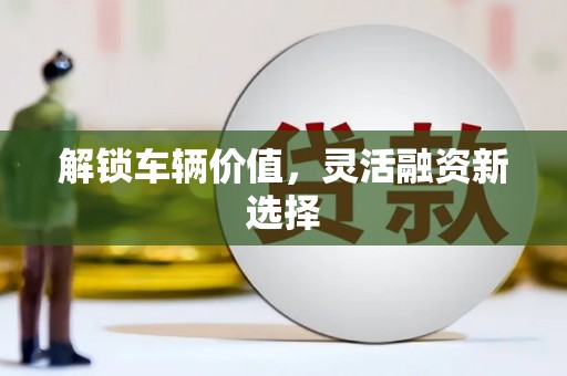 龙湾解锁车辆价值，灵活融资新选择