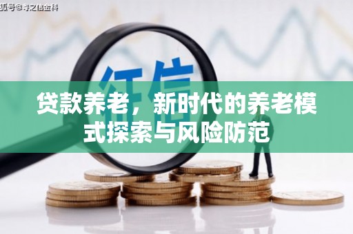 龙湾贷款养老，新时代的养老模式探索与风险防范