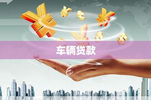 龙湾车辆贷款