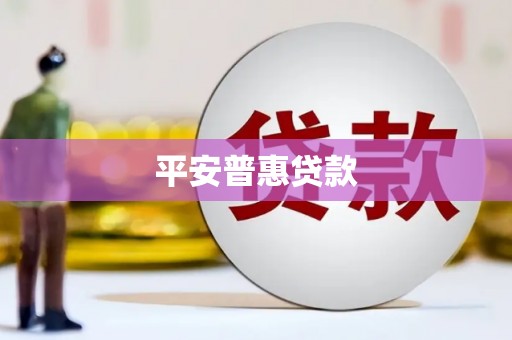 龙湾平安普惠贷款